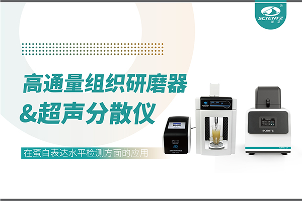 SCIENTZ-24和SCIENTZ-1500F在蛋白表達(dá)水平檢測(cè)方面的應(yīng)用