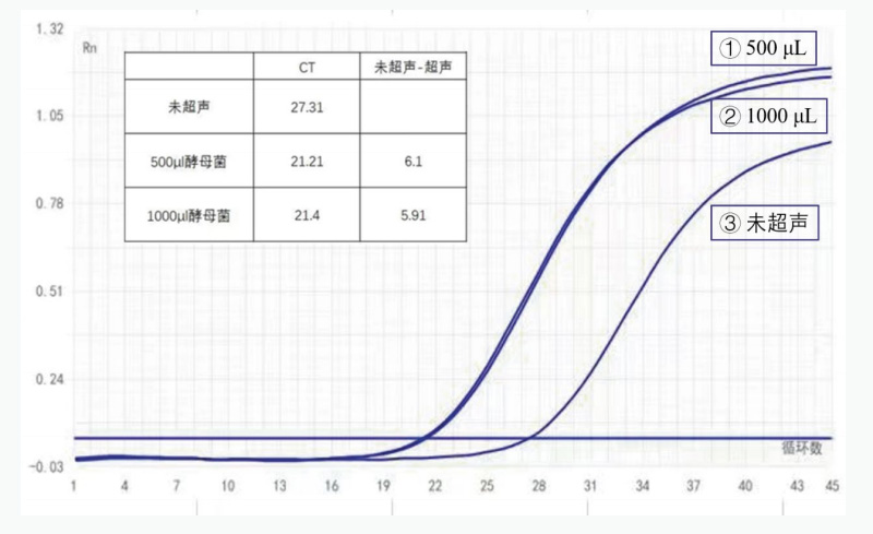 酵母菌樣本超聲破碎后前后擴(kuò)增循環(huán)數(shù)對(duì)比