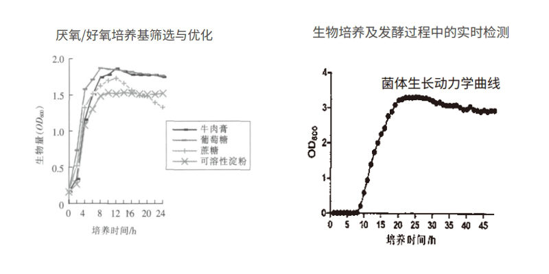 過(guò)程安全，結(jié)果精準(zhǔn)