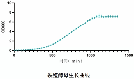 兼性厭氧微生物振搖培養(yǎng)