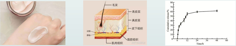 藥物體外透皮釋放試驗(yàn)過(guò)程