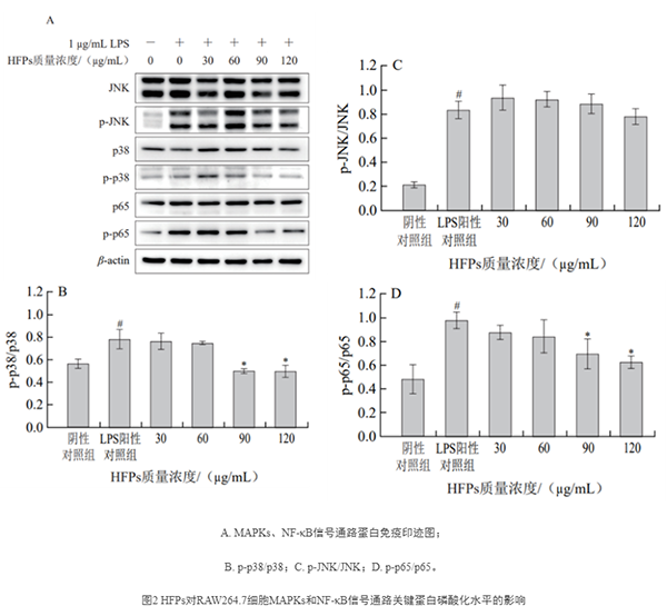 測(cè)定結(jié)果