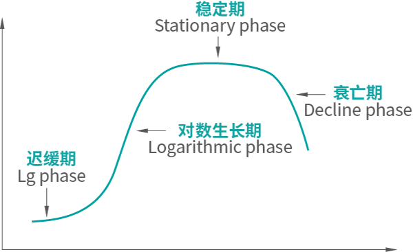 生長(zhǎng)規(guī)律