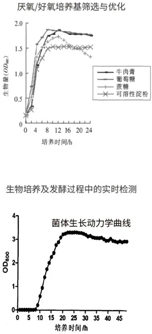 過(guò)程安全，結(jié)果精準(zhǔn)