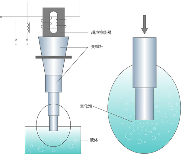 超聲波結(jié)構(gòu)圖