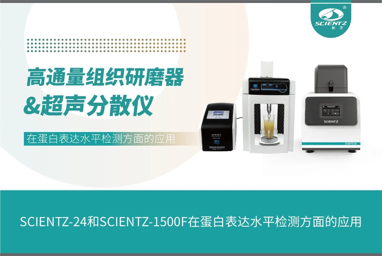 SCIENTZ-24和SCIENTZ-1500F在蛋白表達水平檢測方面的應(yīng)用